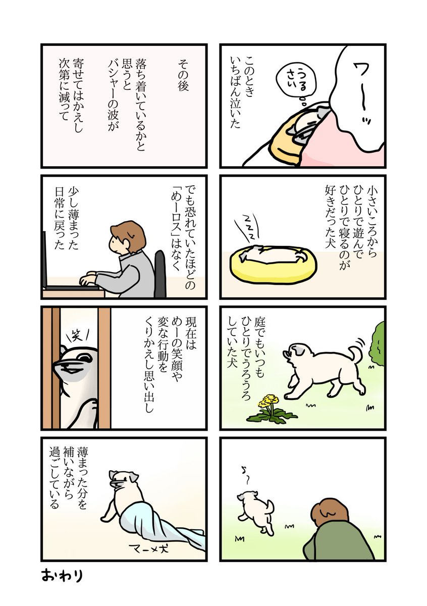 めーがいなくなった日