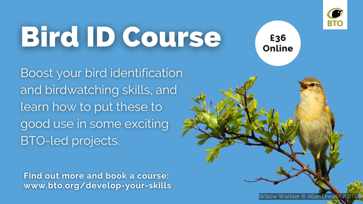 🎓 Training Course: Bird ID - Last chance to book! Get familiar with bird identification by sound and sight ahead of the spring. 📅 Tues or Weds from week commencing 4 March ⏲️ 3 weekly online modules of 90-100 mins, plus self-study exercises 💷 £36 👉 bit.ly/3TEEujI