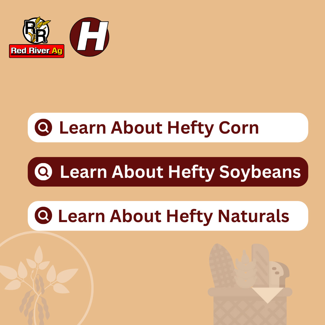 RedRiverAg_MN's tweet image. Hefty Brand Soybean Varieties are proven to out-yield the competition! Add Hefty Complete seed treatment for full-season benefits and greater yield potential!

📌 Learn more about Hefty soybeans!
heftyseed.com/soybeans

#RedRiverAg #Plant23 #HeftySeed