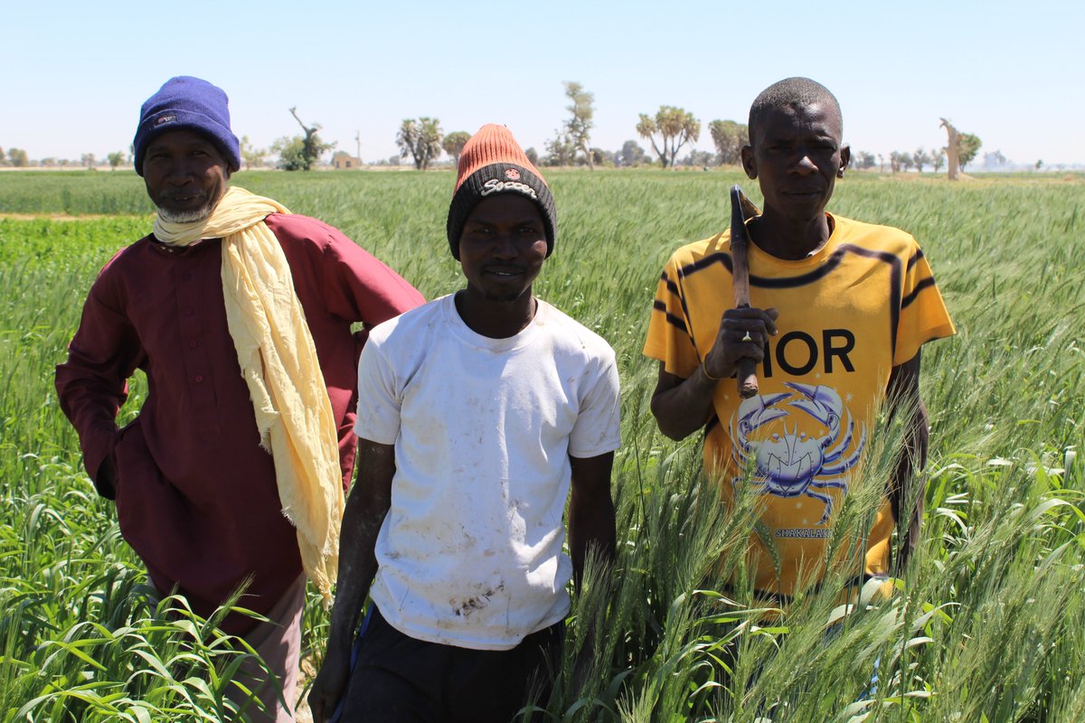 WHH Niger-Welthungerhilfe tweet media