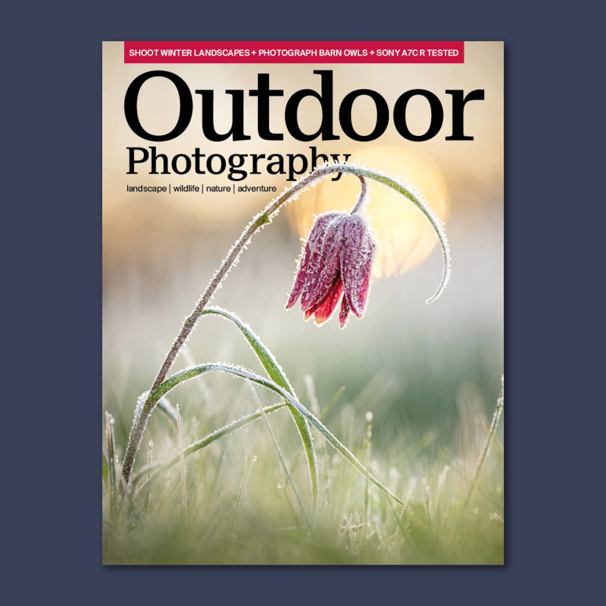 OP 303 is now on sale! Highlights include: Inspiring ideas to improve your winter landscapes; interview with Dorset-based landscaper @andyfarrerphoto; barn owl photography tips from @simonroyphoto; and we try out the Sony A7C R. Cover image by Jay Birmingham @Jay_B_Photos