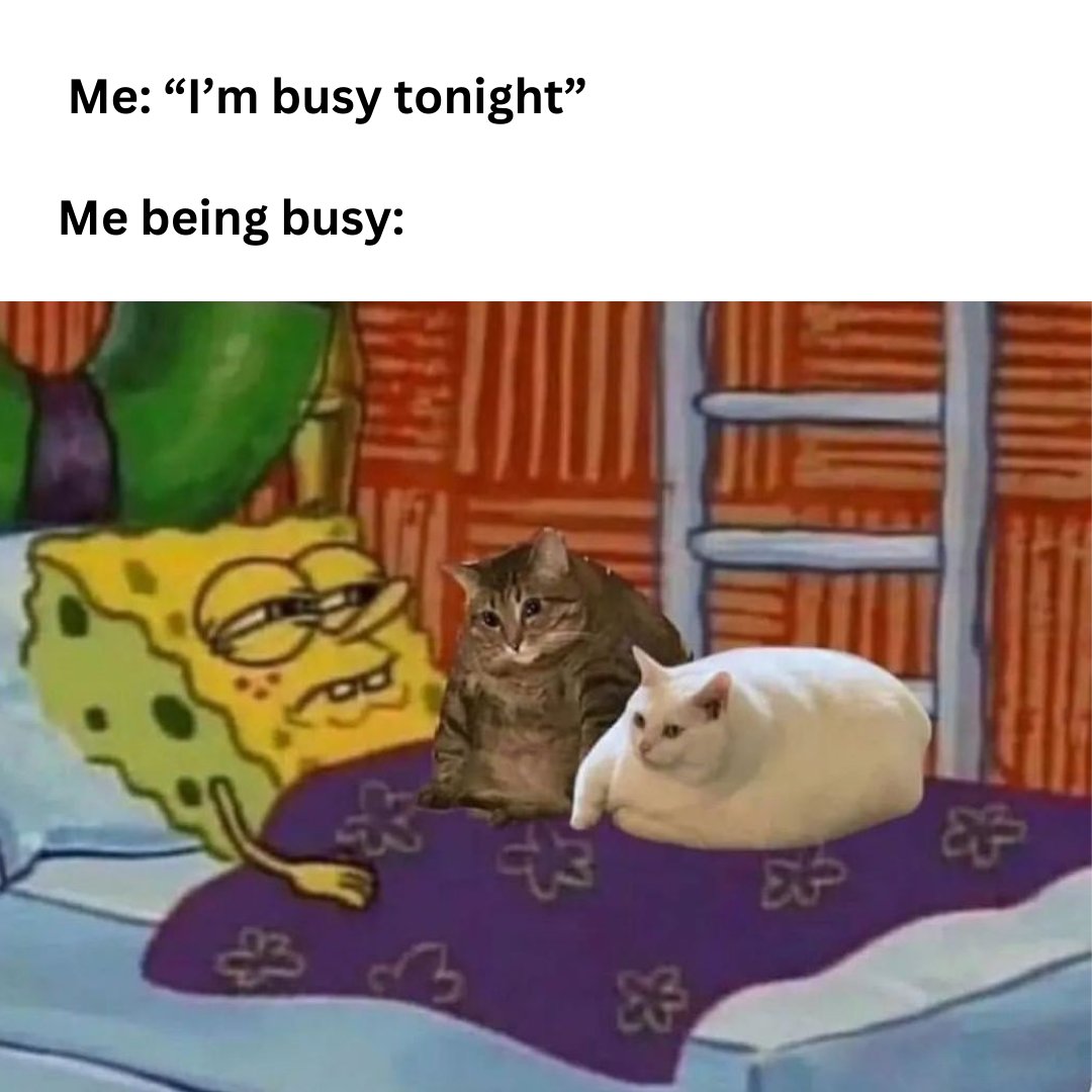 Sorry I'm busy 🙄
.
.
.
.
.
.
#introvert #housebody #stayingin #catperson #naptime #canceledplans #lovemybed