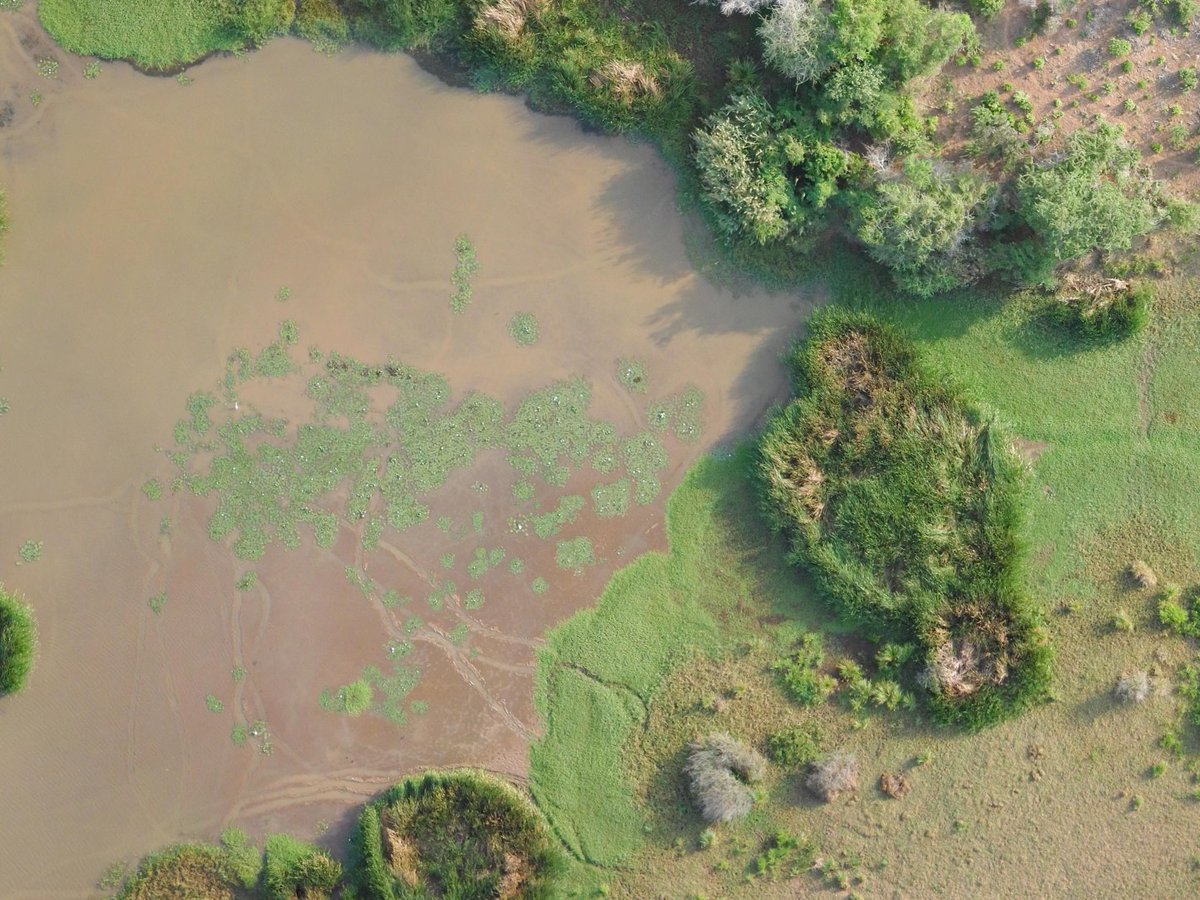 DroneIndustries's tweet photo. Digging around in the back office this morning and found this 13Gb dataset from Malindi. Also testing to see if my Twitter integration is broken... https://t.co/arkDGgXX1x I, for one, bless the rains down in Africa. https://t.co/My7KvzBMJR