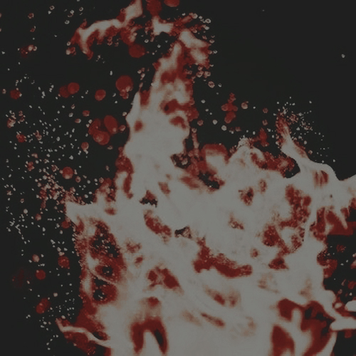 ㅤ ㅤ⠀⠀
ㅤ ㅤ⠀⠀
ㅤ ㅤ⠀⠀