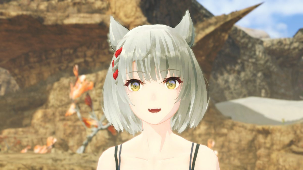 mio_xenoblade's tweet photo. it's cat day in japan today i love cats look at this cat https://t.co/w2vrTzQoCy