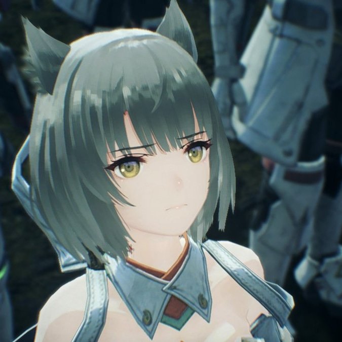 mio_xenoblade's tweet photo. it's cat day in japan today i love cats look at this cat https://t.co/w2vrTzQoCy