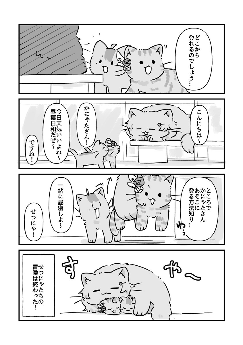 にゃんがさき合同に寄稿したマンガです!!!もふもふ!!!!!
#猫の日 