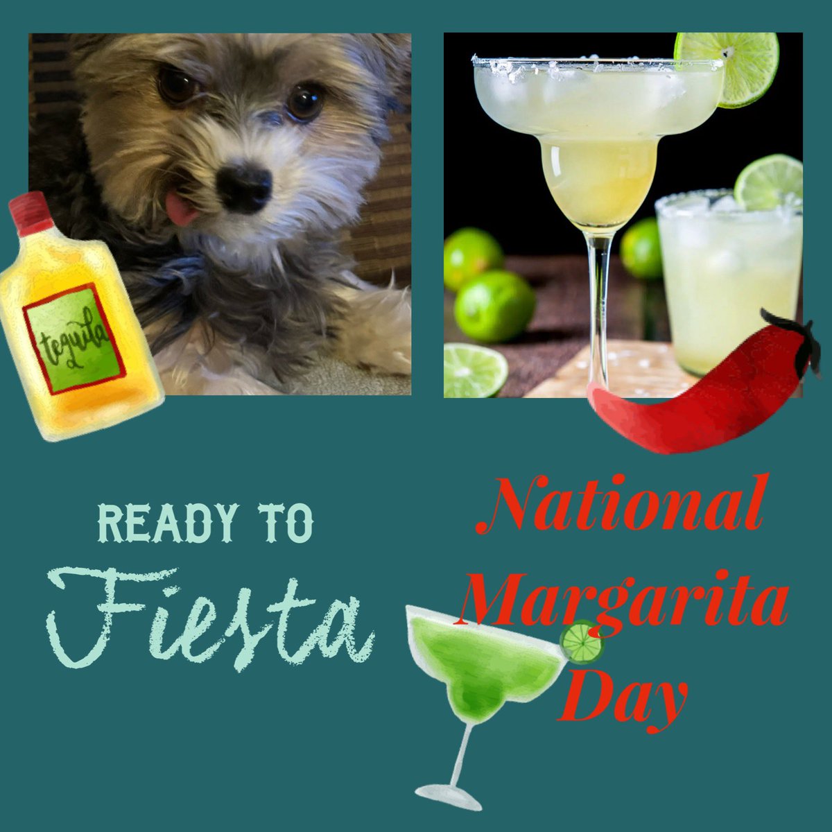 Gio. And we can’t forget National Margarita Day! 🥴Mom celebrated this one a few weeks ago in Cabo lol 😂 #MargaritaDay 🐾🫶🏼😵‍💫