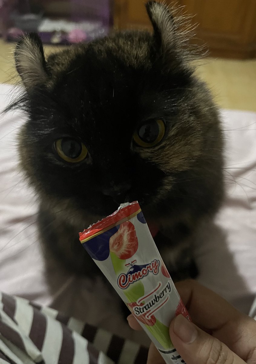 kochengfs's tweet photo. AOWKWKWKWKWK KETIPU MULU DIA 😭🫵🏻 🐈‍⬛
https://t.co/JTrfUl4N1U