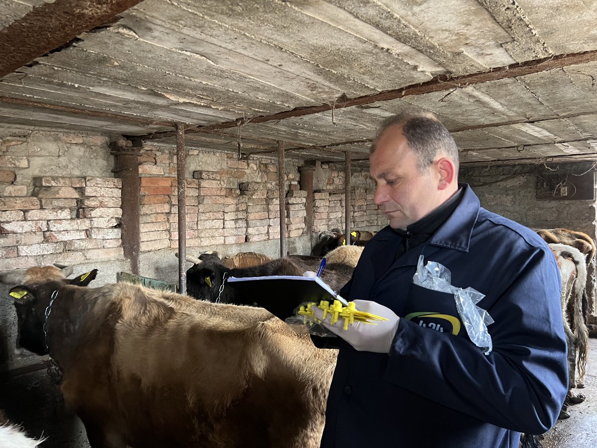 Did you know? 🇬🇪 #Georgia is the first in the Caucasus to implement the National Animal Identification & Traceability System! NAITS electronically tracks animals across Georgia. This means boosts food safety & animal welfare. @FAO @nfageorgia @SwissDevCoop @AustrianDev