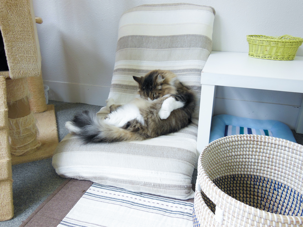 #猫の日 
セルフ猫吸い
