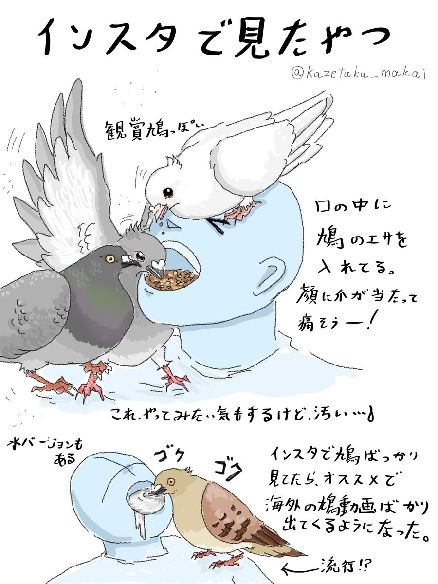風鷹(かぜたか) on X: 