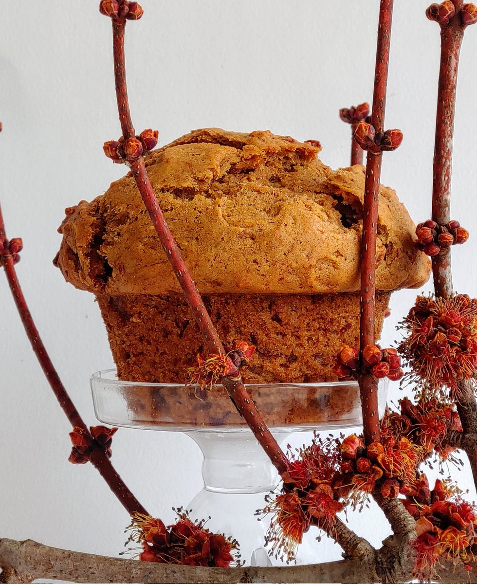 SAPODILLA CAKE Croplet™. Sink your teeth in this one of kind functional vegan dessert this weekend <a href="/FRESHFARMDC/">FRESHFARM</a> MVT and Dupont markets. It was first introduced in February 2022. SAPODILLA is a tropical fruit which is not traditionally used in baking. #cropeats #croplets