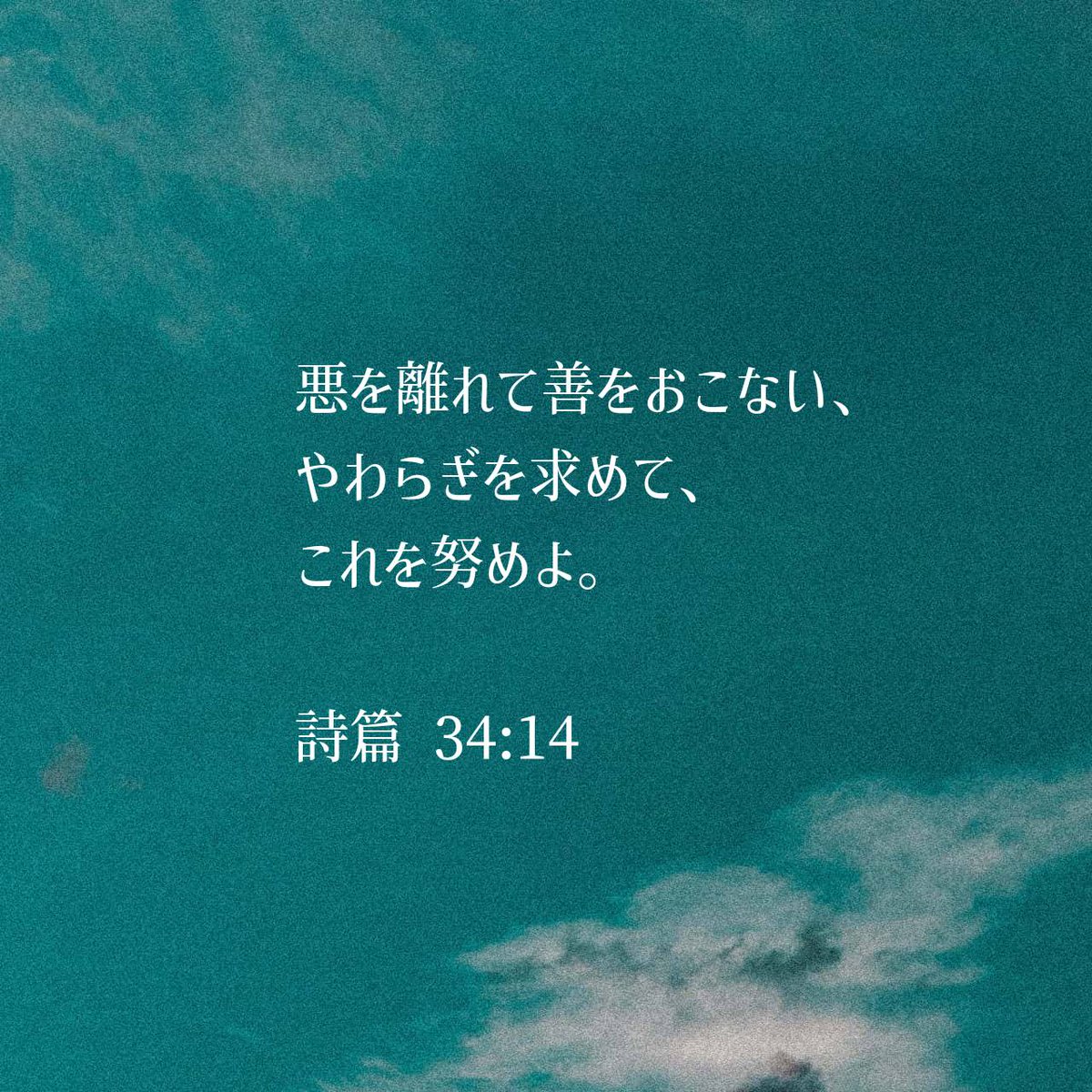 詩篇 34:14 口語訳 悪を離れて善をおこない、 やわらぎを求めて、これを努めよ。 #聖書 #Bible