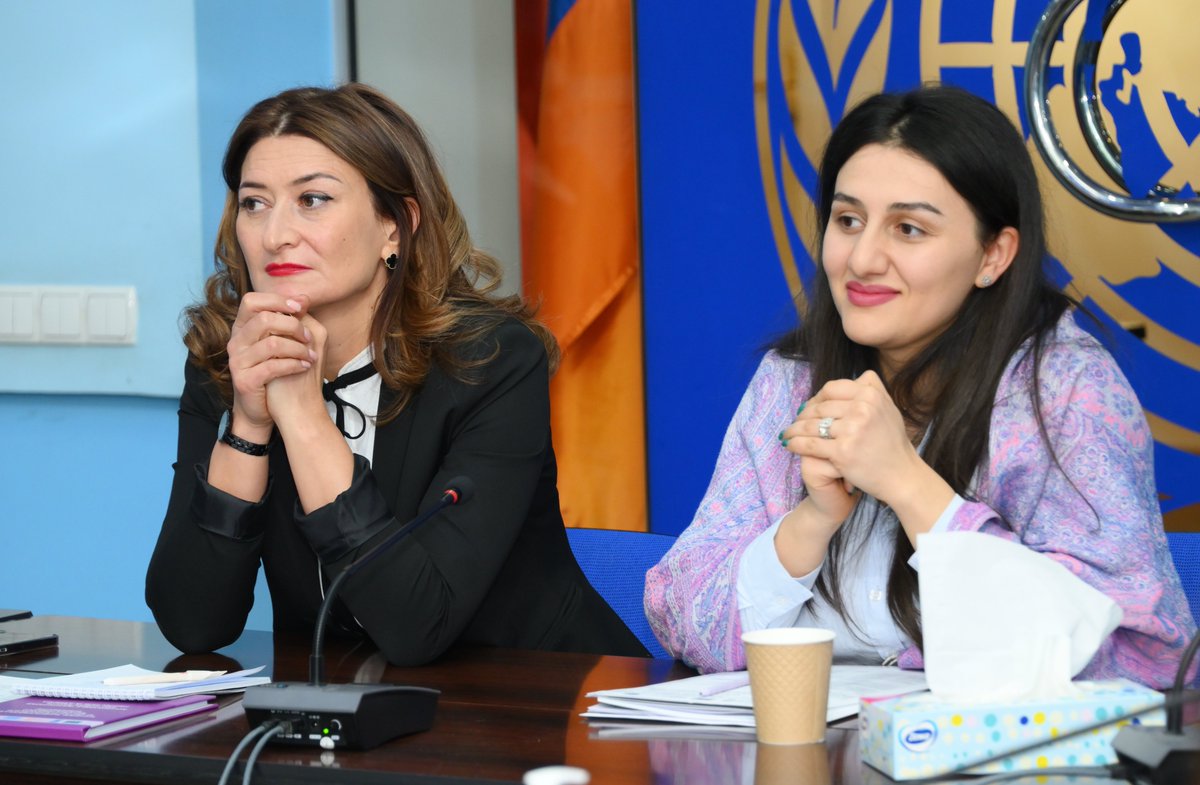 Important discussion at the prevention of #GBV Gender Thematic subgroup meeting conducted within the @EU_Armenia funded project! Discussing with partners issues on sexual assault response & access to services, and gaps on alimony obligations towards children.