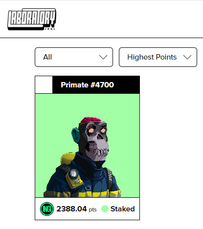 MiniYork.CAT20 tweet media