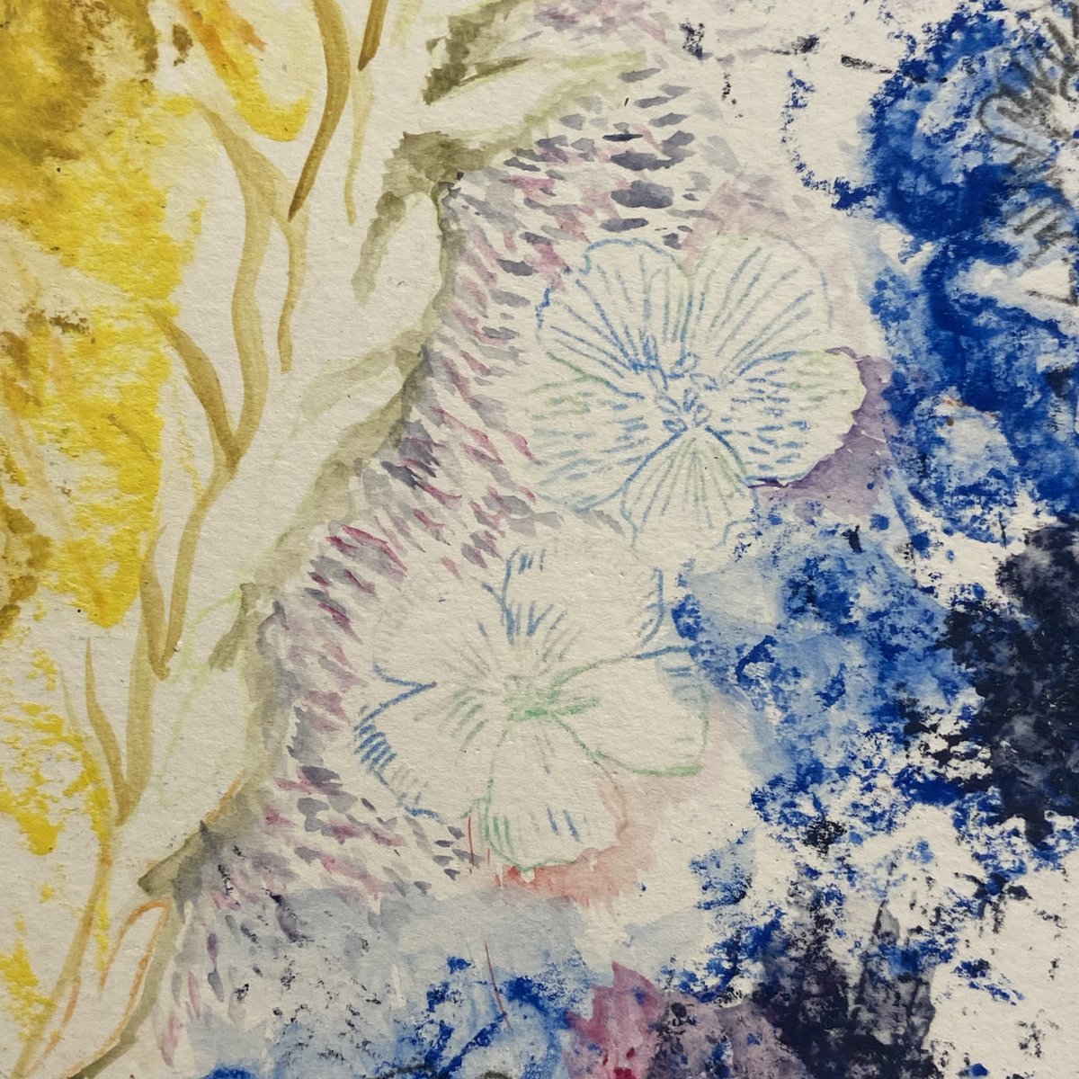 C2CArtists's tweet photo. Introducing a  drawing technique ‘Oil pastel transfer’ similar to tracing and mono printing that produces an instant result by creating a flat linear image that can be transferred on to paper. The images  for the technique related to animals and plants found at the C2C allotment. https://t.co/Mw2laCHCnt