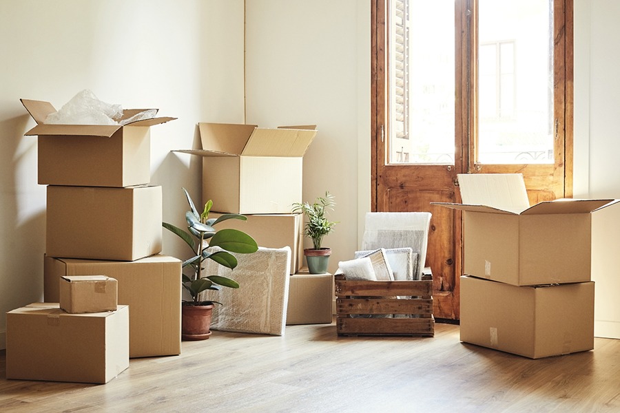 Get Ready to Move House Stress-Free!

We've got the perfect boxes for you! Order online from Packing Solution and we'll deliver them to your door. It's easy, quick, and exactly what you need for packing. packingsolution.co.uk

#cardboardbox #packingsolutionuk #housemovinguk