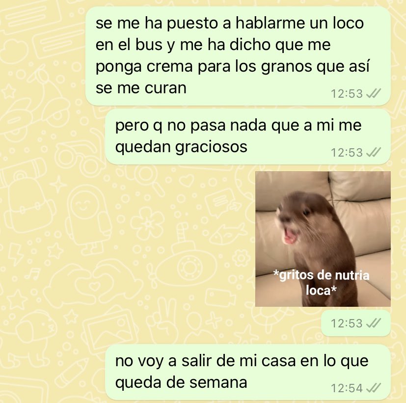 fatimaromerov's tweet photo. no está siendo la mejor semana de mi vida la vd https://t.co/xUTLg7FY3n