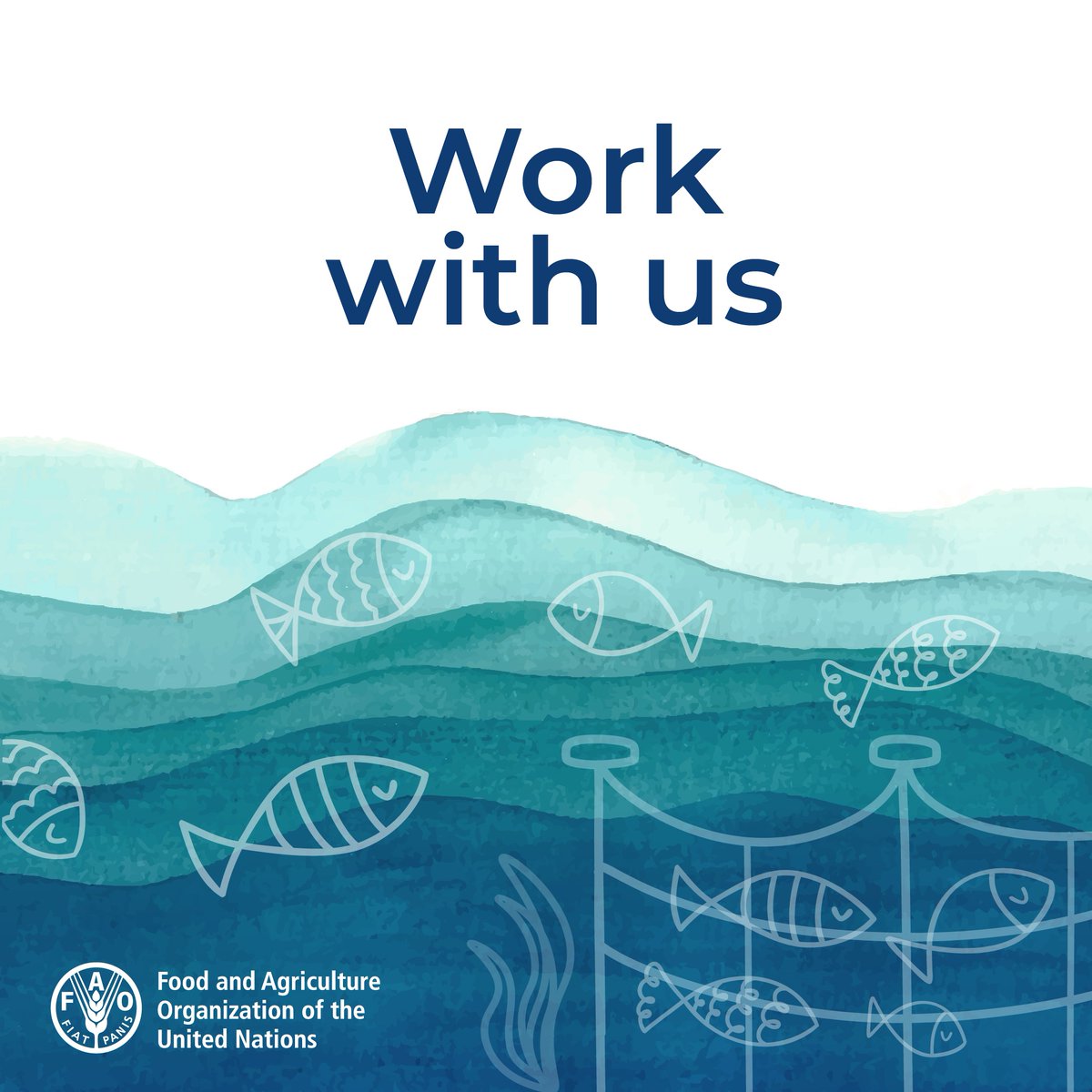 FAOfish's tweet photo. At @FAOfish we are seeking a skilled P3 Statistician with expertise in #DatabaseManagement to maintain our #FishStat data systems, applications, &amp; tools, including FishStatJ.

Apply by 8 March 👉 https://t.co/dy8tnOmyM6

#BlueTransformation https://t.co/veJuwE8MJv