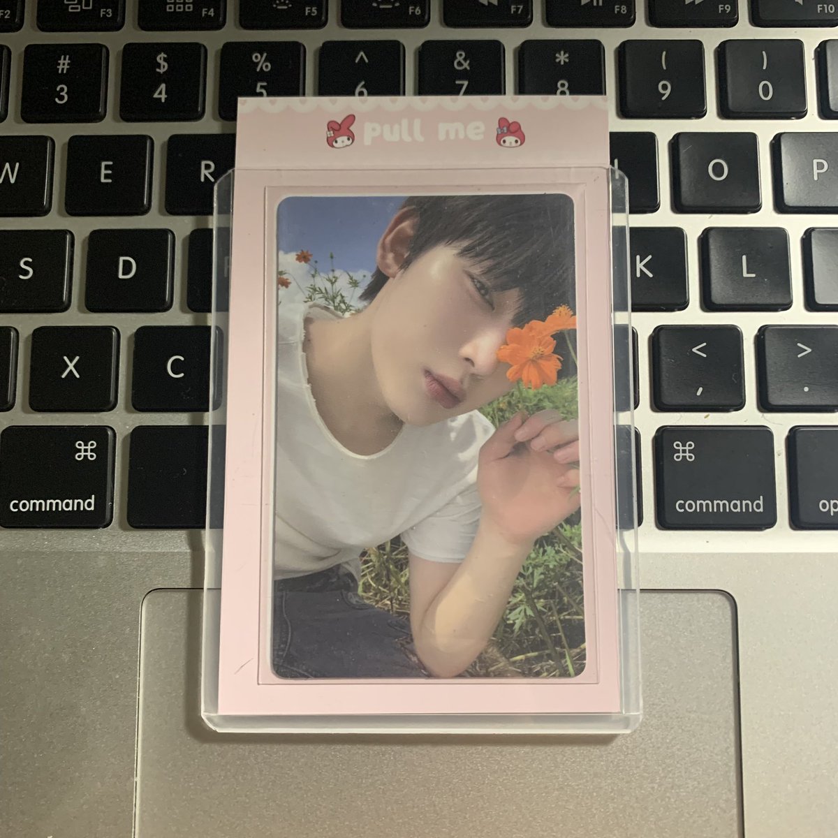 wonulovre's tweet photo. ≽^•⩊•^≼ #lovremails | #maeumiproofs

thank you @maeumihaul !! nakauwi nang safe ang mga pogi! super secured &amp; cute ng packaging hihi v coquette ka d’yan! + daming freebies 💗 combined order w @islarvns thank you masaya na ulit kami so much 🎀 https://t.co/Xgav75CQPY