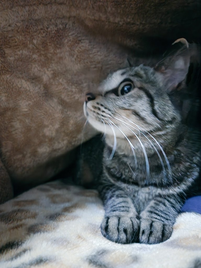 せな😼 tweet media