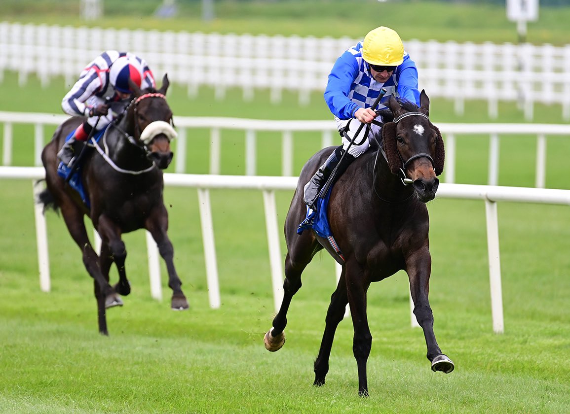 Archie (@archieb100) on Twitter photo Great to see two European horses nominated for the ๐๐ฟ๐ผ๐๐ฝ ๐ญ Takamatsunomiya Kinen over 6f at Chukyo on March 24th ๐ฏ๐ต
Mick Appleby has entered 5yo h ๐๐ก๐ก๐๐ (Muhaarar) ๐ฌ๐ง
Kieran Cotter has entered 4yo f Matilda Picotte (Sioux Nation) ๐ฎ๐ช
Total prize money of Great to see two European horses nominated for the ๐๐ฟ๐ผ๐๐ฝ ๐ญ Takamatsunomiya Kinen over 6f at Chukyo on March 24th ๐ฏ๐ต
Mick Appleby has entered 5yo h ๐๐ก๐ก๐๐ (Muhaarar) ๐ฌ๐ง
Kieran Cotter has entered 4yo f Matilda Picotte (Sioux Nation) ๐ฎ๐ช
Total prize money of