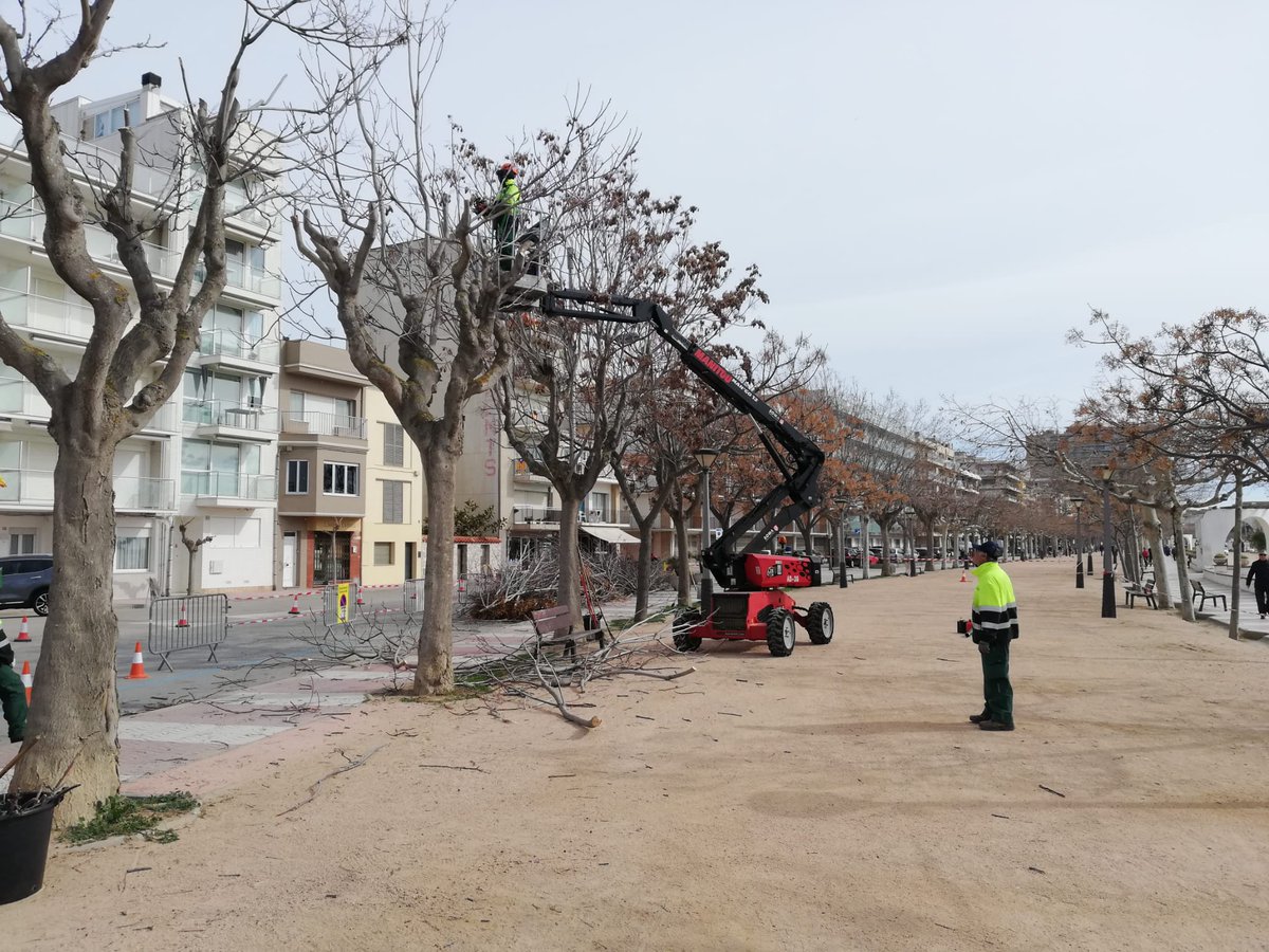 AjPalamos's tweet photo. Aquesta setmana l'Ajuntament de Palamós està duent a terme feines de millora i manteniment al passeig del Mar de Palamós ✅

Les tasques consisteixen en l'ampliació de la vorera a tocar del brollador i també la poda d'arbrat.

Llegeix la notícia: https://t.co/tSO4G8lJh5

#Palamós https://t.co/GLYrkFnwfh
