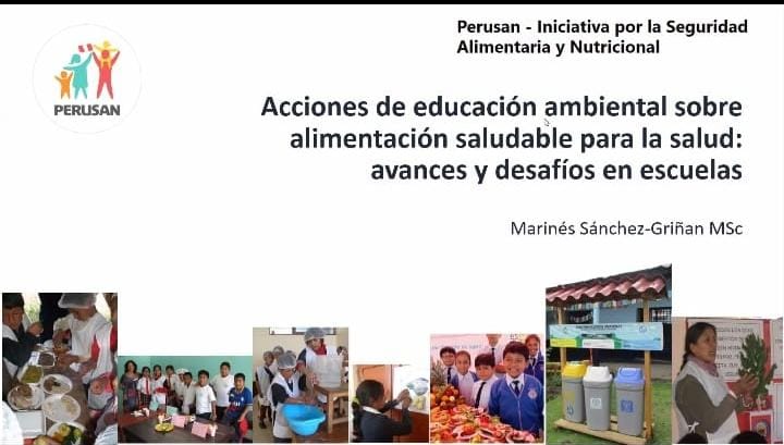 🔴🌽🥑 PERUSAN desarrolló el Webinar "La alimentación saludable y los niños en el Perú", en el marco del cual se presentaron los resultados preliminares del estudio "Acciones de educación ambiental sobre alimentación saludable: avances y desafíos en las escuelas".