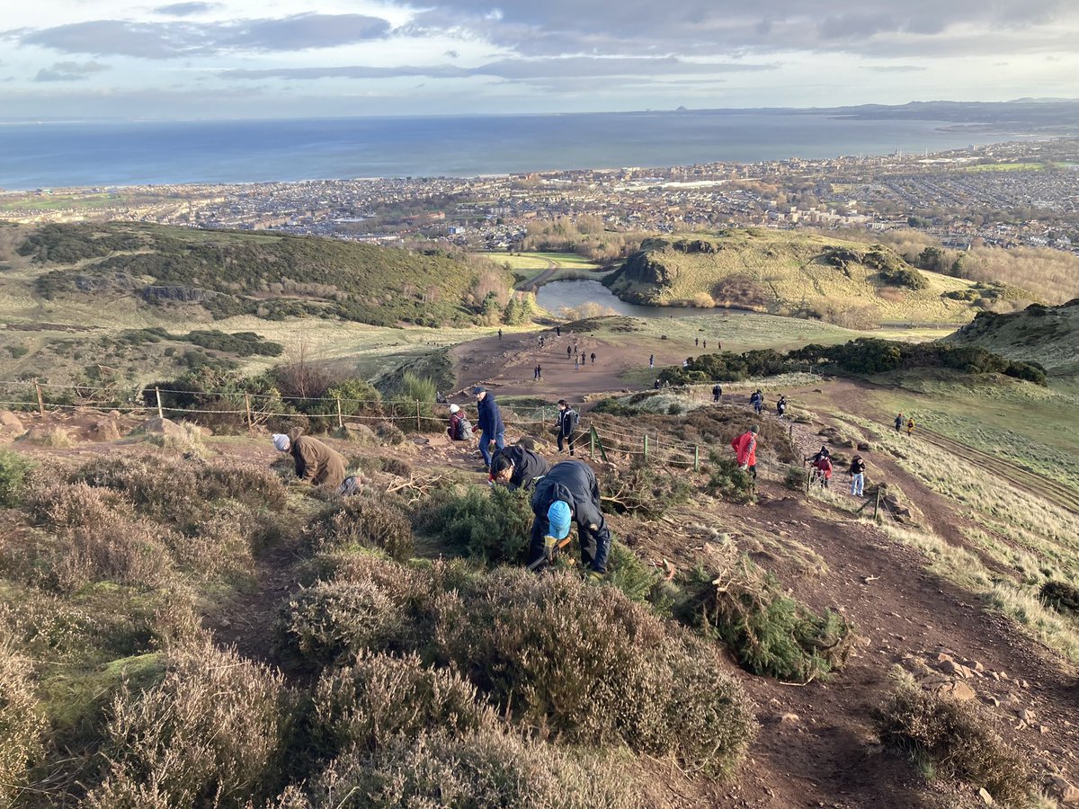 Gorse cutting is not too bad when you have a view like this 😁🗻 Great work by some of our hard working volunteers recently 💪🪓