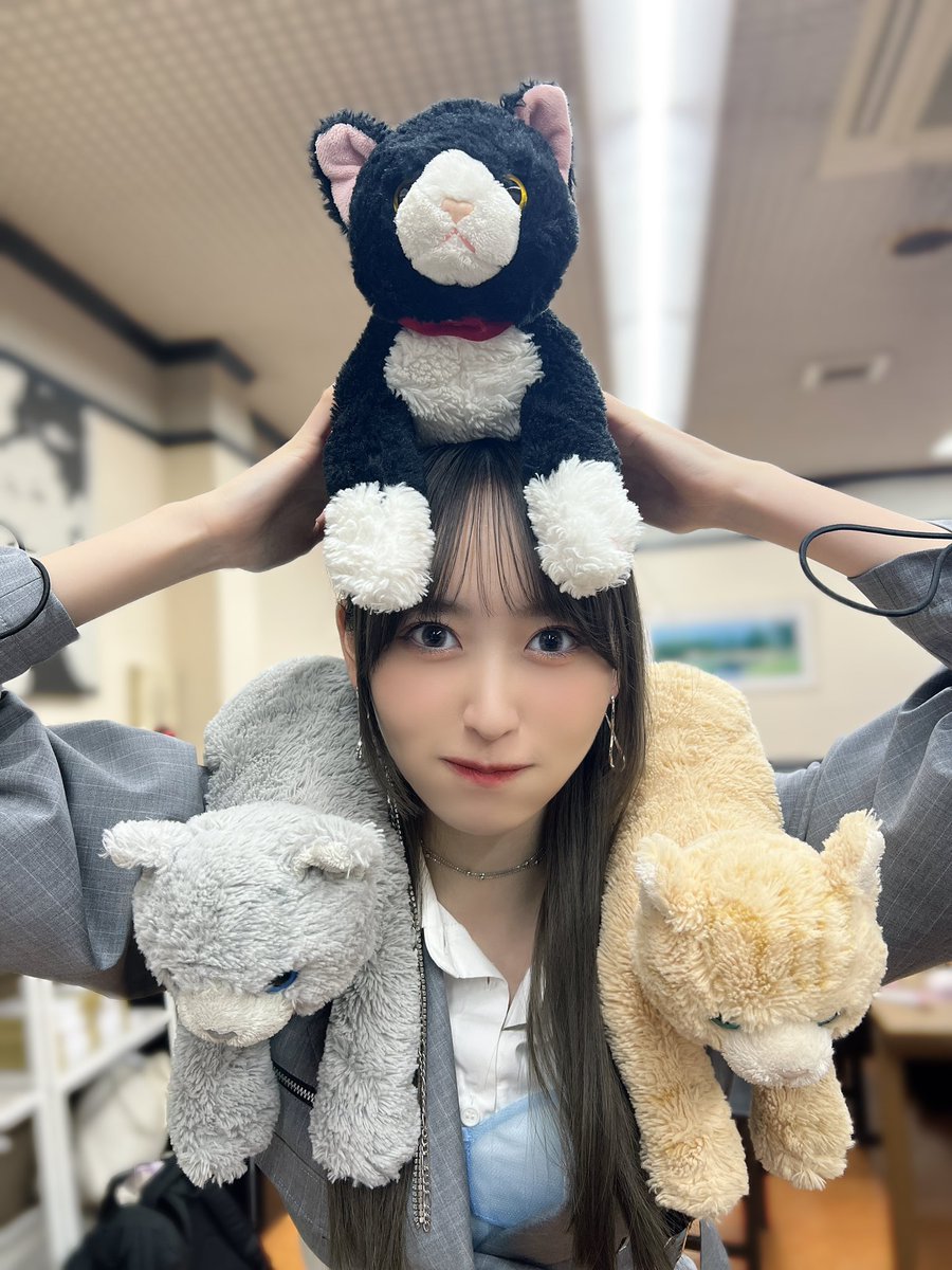 えー左右に猫､上に猫､下がって画面真ん中が猫が好きすぎて猫になりたい