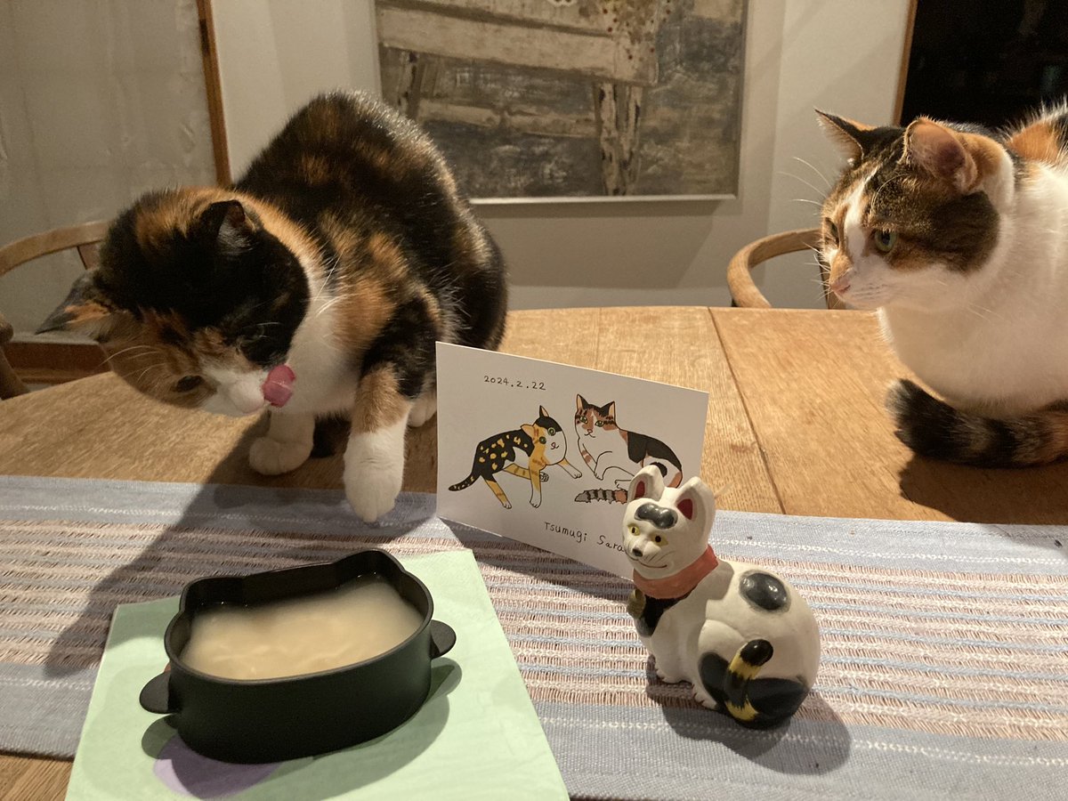 maya_szk's tweet photo. 猫の日を手作り猫用スープでお祝いしました🐈🐈
ツムちゃんは気になってチョイチョイ🐾
#猫の日
#猫の日2024
#三毛猫
#縞三毛
#縞三毛猫更紗と三毛猫紬 https://t.co/uSm0BZjTgw