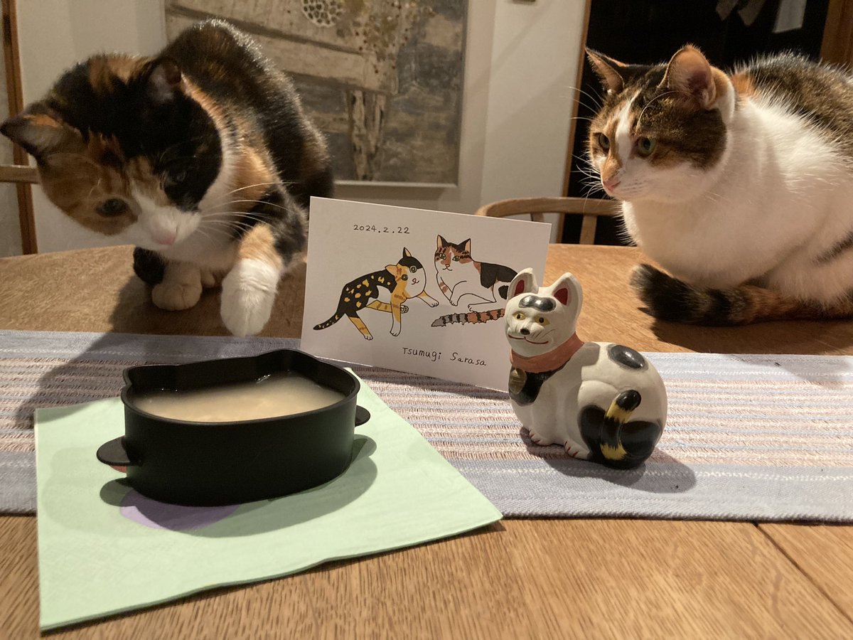 maya_szk's tweet photo. 猫の日を手作り猫用スープでお祝いしました🐈🐈
ツムちゃんは気になってチョイチョイ🐾
#猫の日
#猫の日2024
#三毛猫
#縞三毛
#縞三毛猫更紗と三毛猫紬 https://t.co/uSm0BZjTgw