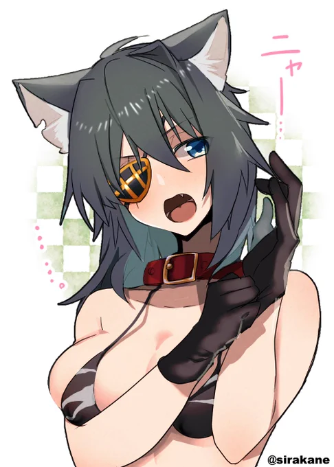 猫の日に間に合わないので過去絵木曾にゃんを…………描いたのが、に…2022年だと? 
