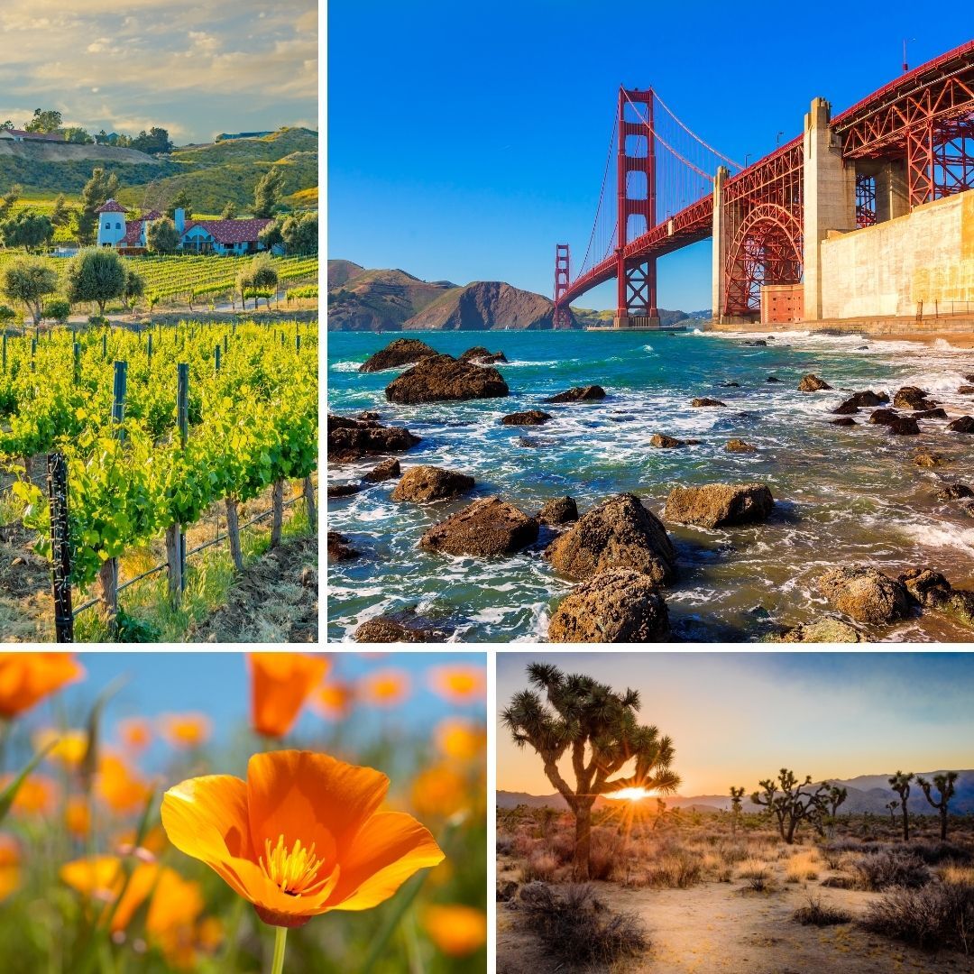 Celebrating the golden state and golden protection! Happy California Day from JWP Insurance Agency! Just like the sunshine, our coverage is here to brighten your days. Let's keep your dreams shining! #CaliforniaDay #GoldenProtection