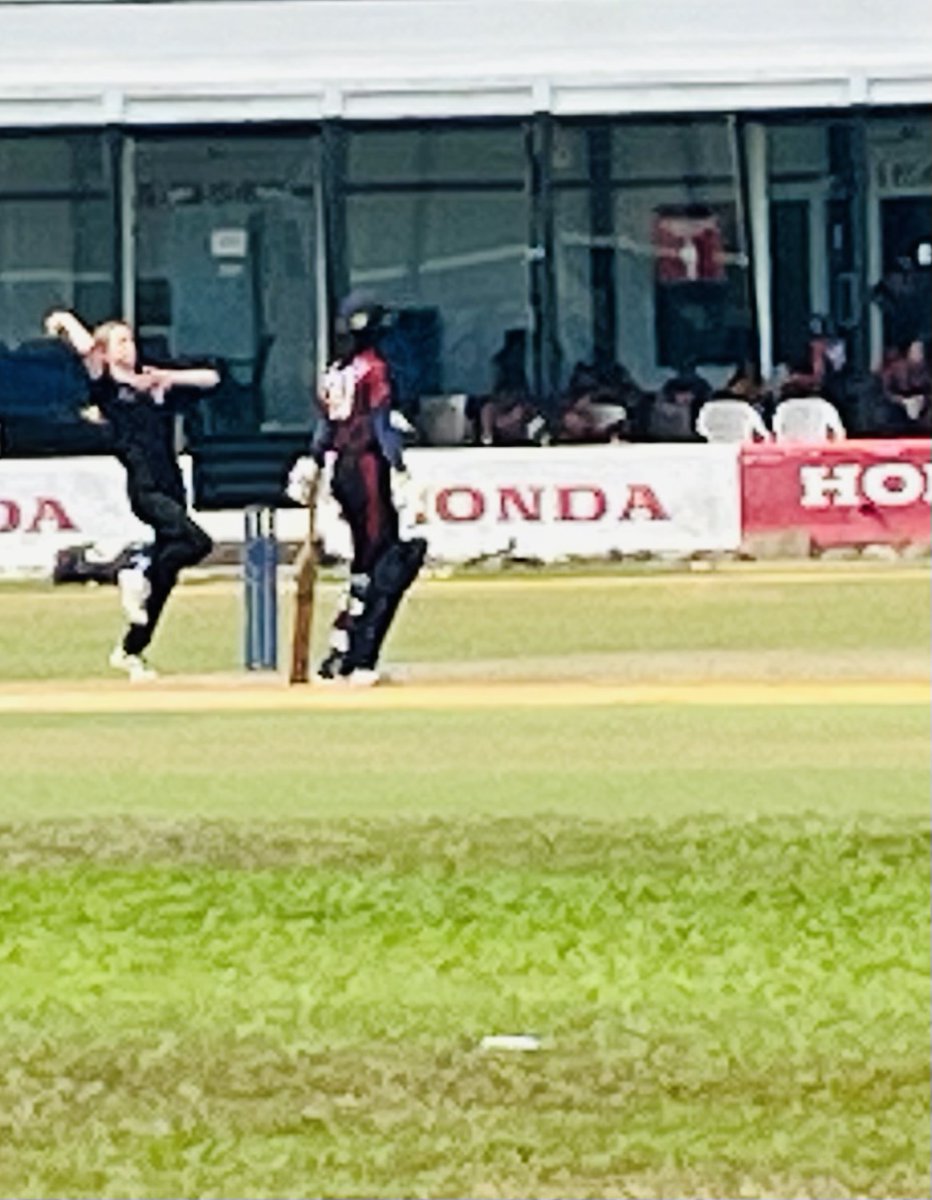 The Somerlap Team tweet media