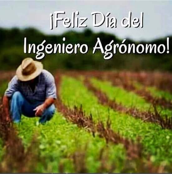 ¡Feliz día, para todos los Ingenieros Agrónomos!
#AgriculturaCubana #CienfuegosXMasVictorias @MinagCuba @YdaelB @LuisMonteroMus1 @FernandezMaryde @CoronaAlexandre @evermaigisla