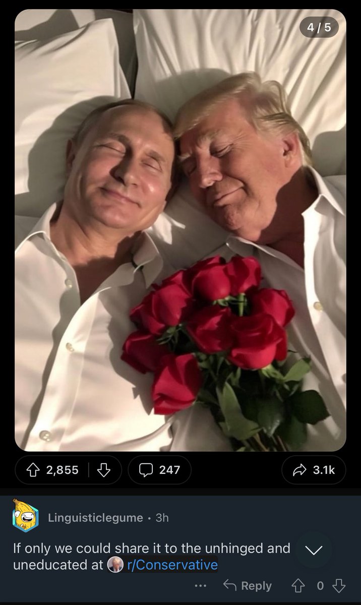 Reddit Lies tweet media