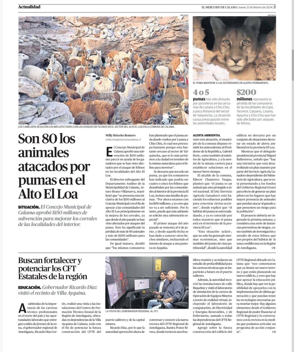 CFTE Región Antofagasta tweet media