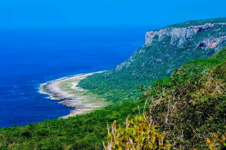 JuannCarlosGG's tweet photo. 📸Postales de #Cuba 
📍Parque Nacional Desembarco del Granma 
🏞️ Patrimonio Natural de la Humanidad, #Unesco
#ProvinciaGranma
#CubaUnica 🇨🇺 https://t.co/gNeEiYo5kj