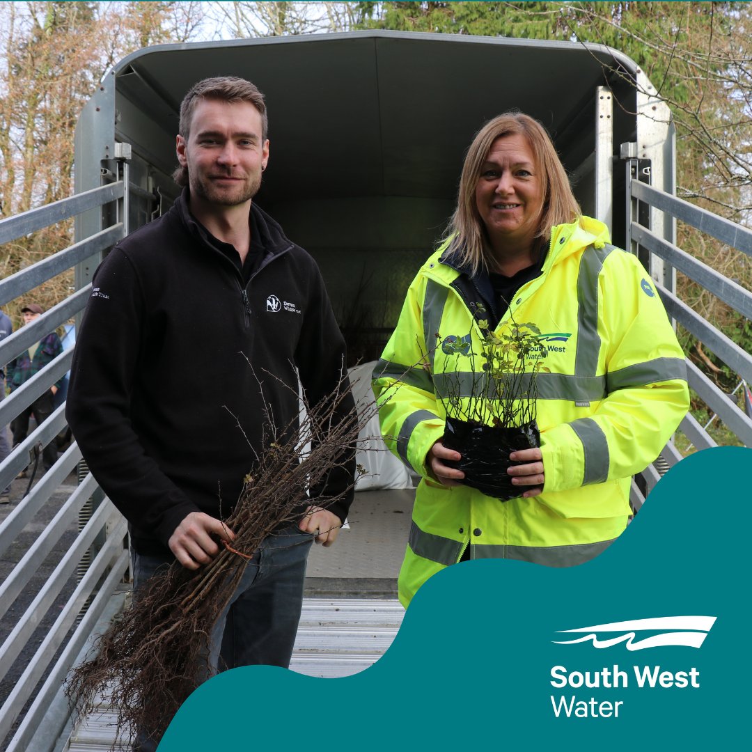 SouthWestWater's tweet photo. We're teaming up with the Woodland Trust and Devon Wildlife Trust to plant 40,000+ native trees in Devon's river catchments. These trees, like blackthorn, hazel, and oak, improve water quality, soil stability, and biodiversity. 
 
#UpstreamThinking #EcoConservation #SWW https://t.co/gInojfH7NU