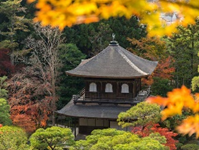 SophSummer's tweet photo. 🏯 Hôm nay tôi có cơ hội thăm thú Chùa Ginkakuji ở Kyoto   và không thể không chia sẻ với các bạn về trải nghiệm tuyệt vời này!   🌸🍃
 
    Khi bước vào khu vực của chùa, tôi không khỏi ngạc nhiên trước vẻ đẹp thanh   tao và tĩnh lặng của không gian này. Những ngôi đền gỗ trắng xinh đẹp và   những khu vườn xanh mướt tạo nên một bức tranh tuyệt vời của sự hài hòa giữa   con người và thiên nhiên.
 
    Mỗi bước chân đi qua từng con đường nhỏ, từng khu vườn hoa và ao sen, tôi cảm   nhận được sự yên bình, thanh tịnh hiếm có. Không khí trong lành và tĩnh lặng   của chùa làm cho tâm hồn tôi trở nên thư thái và an lòng.
 
    Không chỉ là một điểm du lịch nổi tiếng, Chùa Ginkakuji còn là nơi mang đến   cho tôi một trải nghiệm tâm linh đáng nhớ. Đây thực sự là một điểm đến không   thể bỏ qua nếu bạn đang có cơ hội ghé thăm Kyoto!
 
    #ChùaGinkakuji #TrảiNghiệmTâmLinh #HòaMìnhVớiThiênNhiên   🏯🌸🍃
