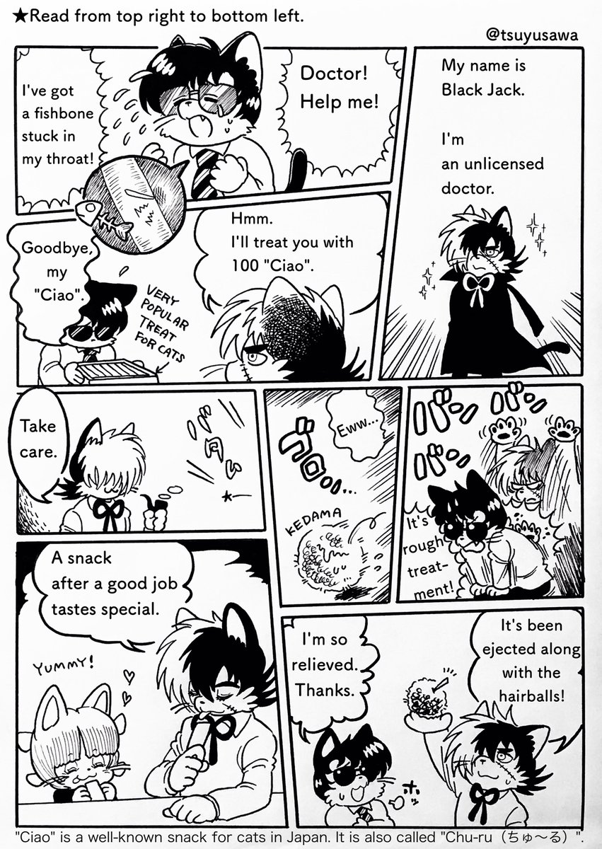 2月22日はネコの日🐈‍⬛🐾 モフモフなブラック・ジャック。 | 露沢（K