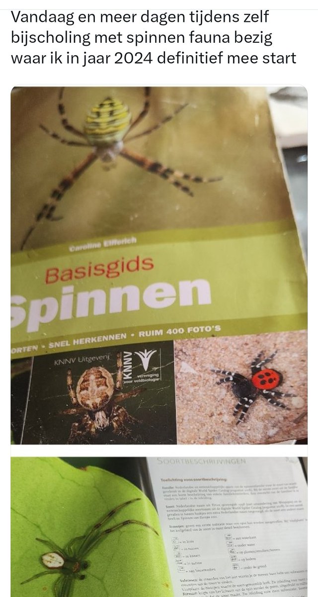 insect_ecole_HR's tweet photo. Vandaag tijdens zelf bij scholing bezig met spinnen van Nederland 800 soorten.

Zie foto scherm afdruk 

Doe  ♥️ &amp; RT als u vind dat  Rehabilitatie tot nuttige diertjes voor spinnen op zn plaats is ipv demoniseren https://t.co/8MctNPtM13