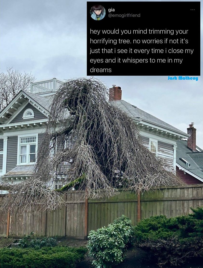 TheSproutingPod's tweet photo. No,no- its fine 🌴
#BlighthouseStudios #TheSprouting https://t.co/Ry6ieWm1PX