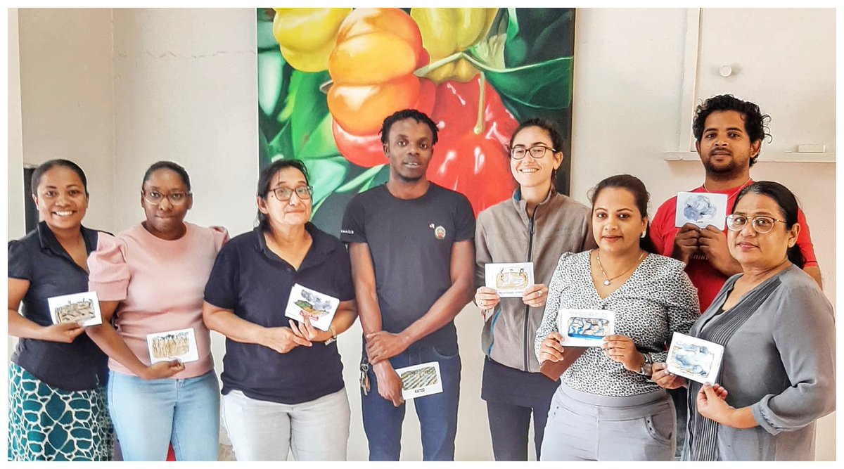 On February 2nd, Giulia run a Living Soil workshop session in Surinam. One of the activities was playing the educational Ludi Soli game. The game improves your knowledge of different cause-to-effect relationships in the soil system and how collective choices can influence them.