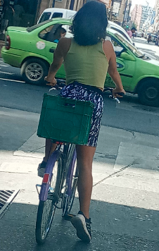 cuantas cajas de <a href="/laserenisima/">La Serenísima</a> hay en #Argentina, cada día que salgo a la calle hay una! o dos o tres!