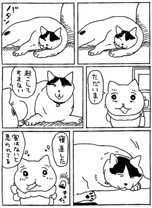 本当のところは分からないけど嬉しい 