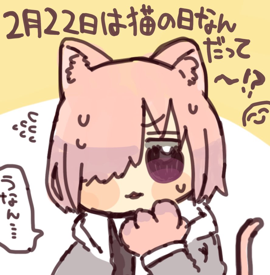 マシュにゃん!????? 