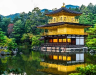 SophSummer's tweet photo. 🏯 Hôm nay, tôi đã có cơ hội khám phá Chùa Kinkaku-ji ở   Kyoto và tôi không thể không chia sẻ với mọi người về trải nghiệm tuyệt vời   này! ✨🌸
 
    Khi bước vào khuôn viên của chùa, tôi đã bị cuốn hút ngay từ vẻ đẹp tinh tế   và sự lộng lẫy của ngôi chùa bằng vàng này. Với ánh nắng chiều long lanh,   ngôi chùa phản chiếu trên mặt nước ao làm cho cảnh quan trở nên vô cùng huyền   ảo và lôi cuốn.
 
    Mỗi góc cạnh của Chùa Kinkaku-ji đều tôn vinh sự kiêu sa và tinh tế của   nghệ thuật kiến trúc Nhật Bản. Tôi không thể không ngạc nhiên trước sự tỉ mỉ   trong từng chi tiết, từ cách sắp xếp cây cỏ, đá vàng, cho đến kiến trúc của   từng ngôi đền nhỏ xung quanh.
 
    Những tia nắng vàng ấm áp chiếu xuống, làm cho không khí trở nên ấm áp và   tạo ra một cảm giác bình yên trong lòng người. Tôi cảm thấy như đang đắm chìm   trong một không gian thần tiên, nơi mà thời gian dường như chầm chậm trôi   qua.
 
    Chùa Kinkaku-ji thực sự là một điểm đến không thể bỏ qua nếu bạn đặt chân   đến Kyoto. Đây không chỉ là một địa điểm du lịch, mà còn là một trải nghiệm   tâm linh đáng nhớ.
 
    #ChùaKinkakuji #TrảiNghiệmTâmLinh #HuyềnẢo 🏯✨🌸